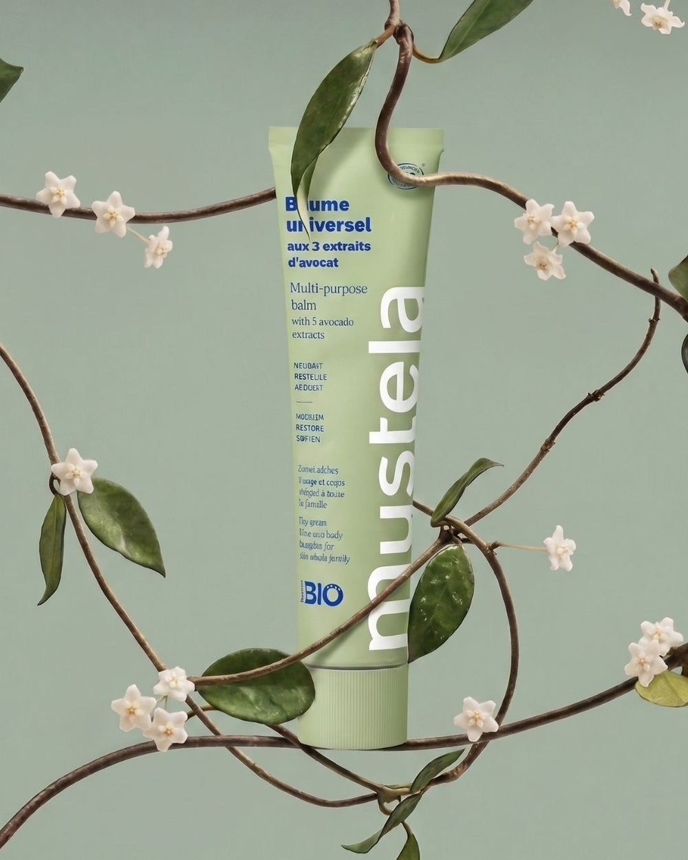 Mustela